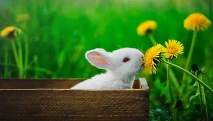 九游官网下载app下载-《绝地求生》新武器上线：性能测试与实战应用，绝地求生即将迎来新武器