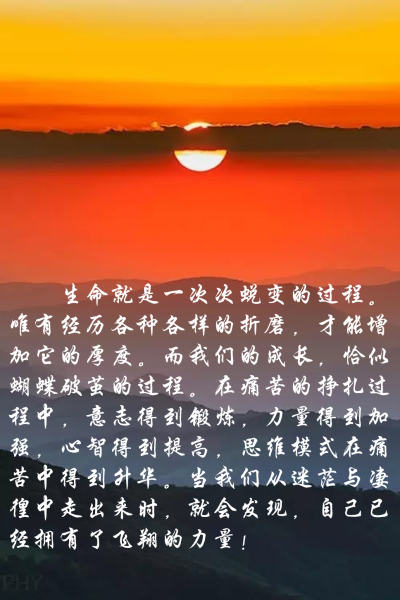 球员蜕变：低潮后的强势回归与重生的简单介绍