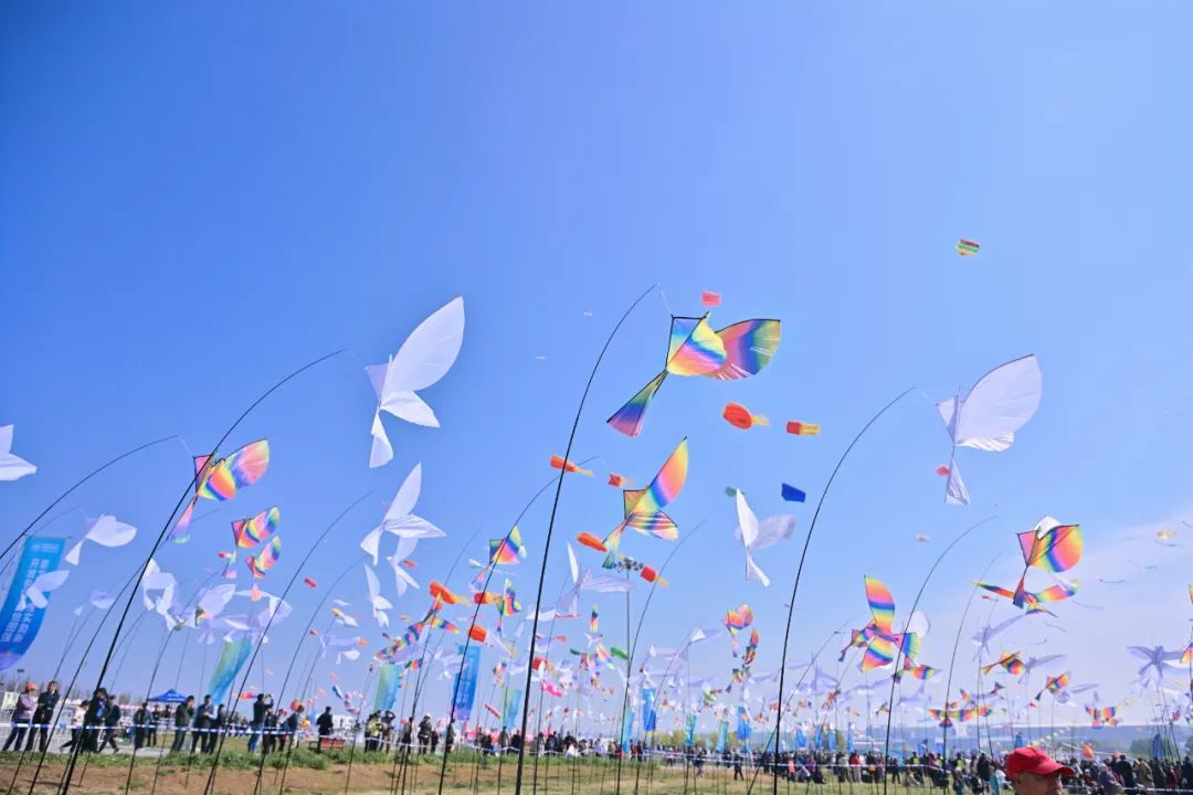 关于大型海上风筝比赛，天空中的运动盛典的信息