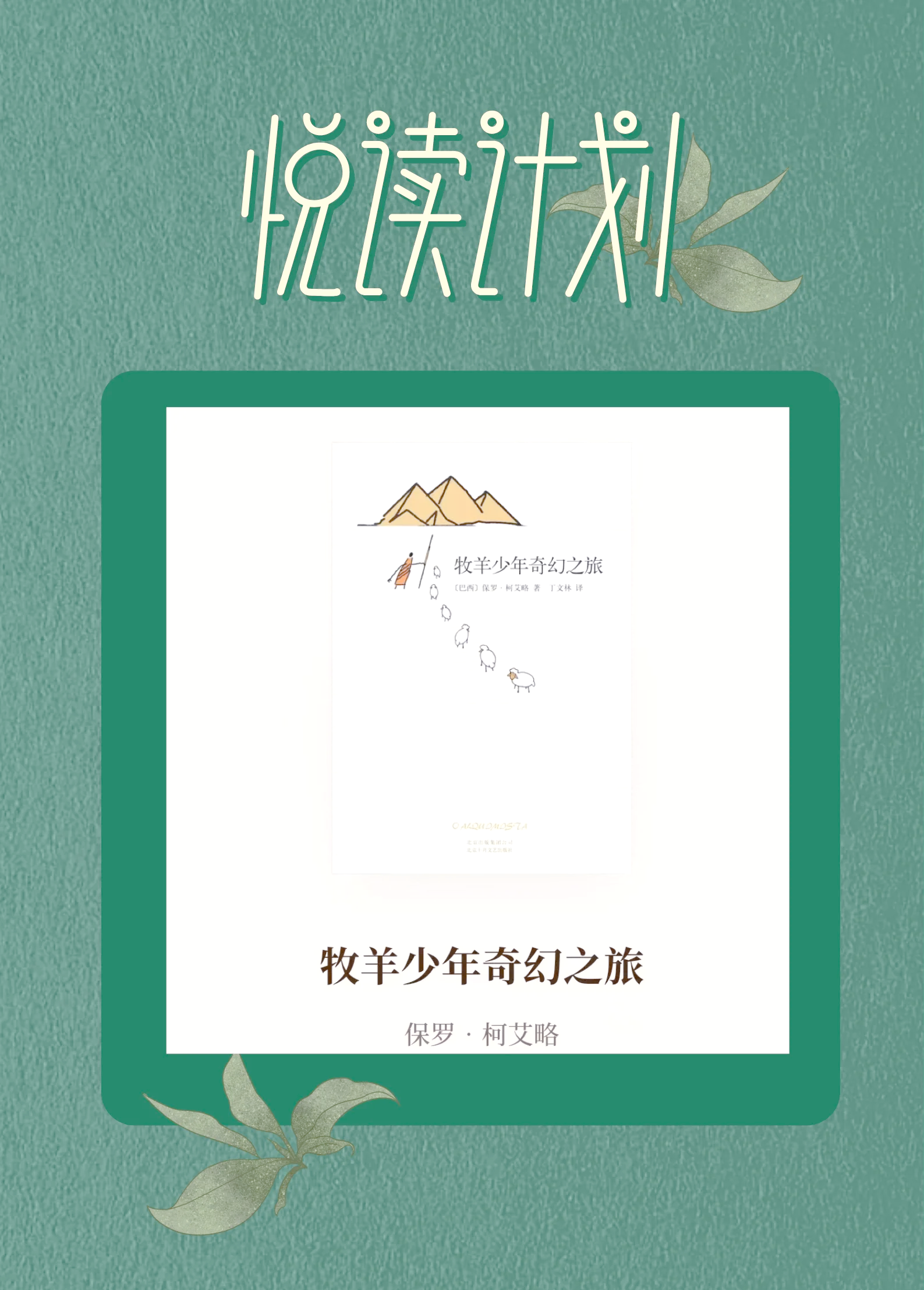 追梦之旅：那些怀揣梦想的年轻力量