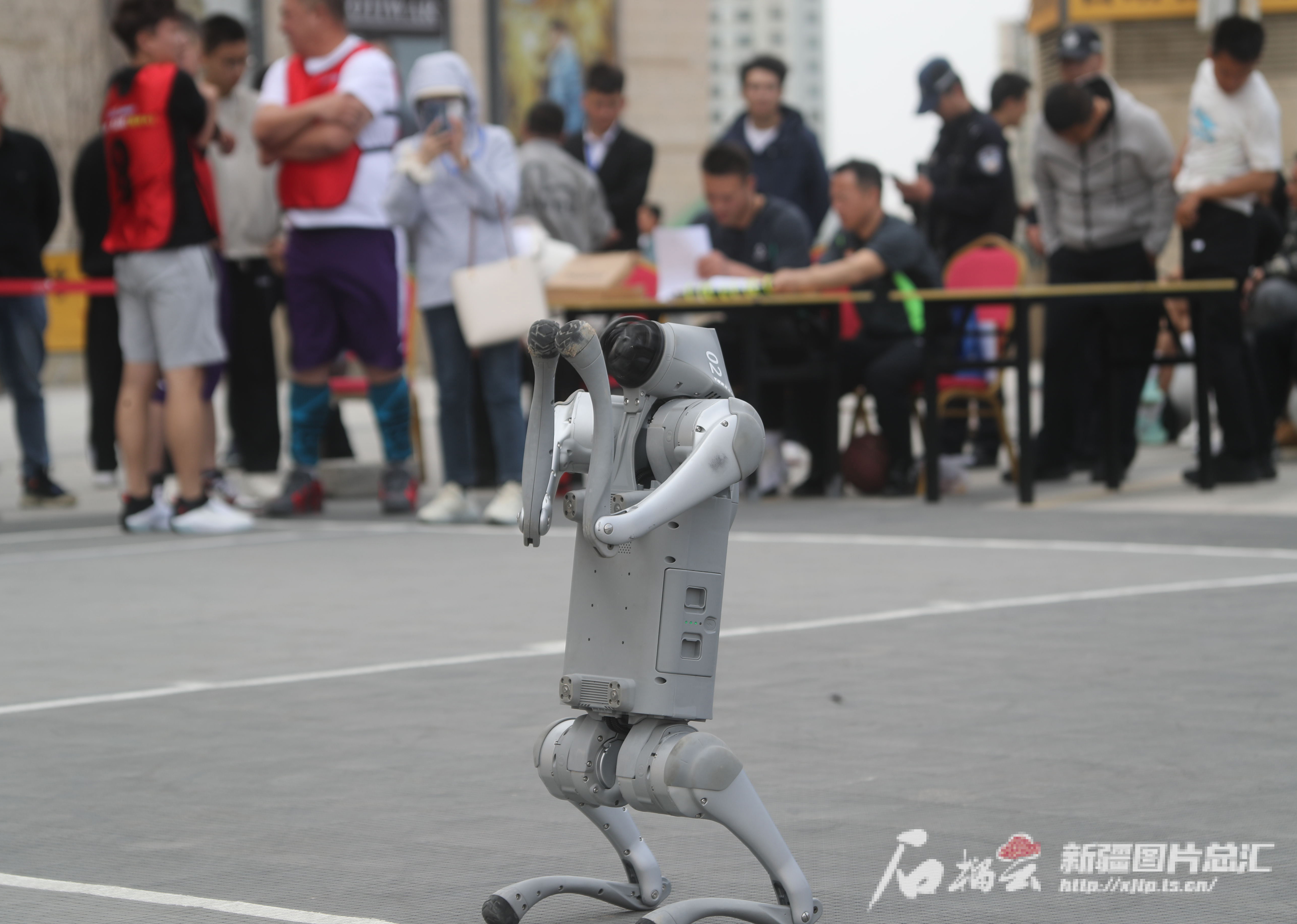 包含篮球主题城市雕塑集结，展现运动魅力与城市风采的词条