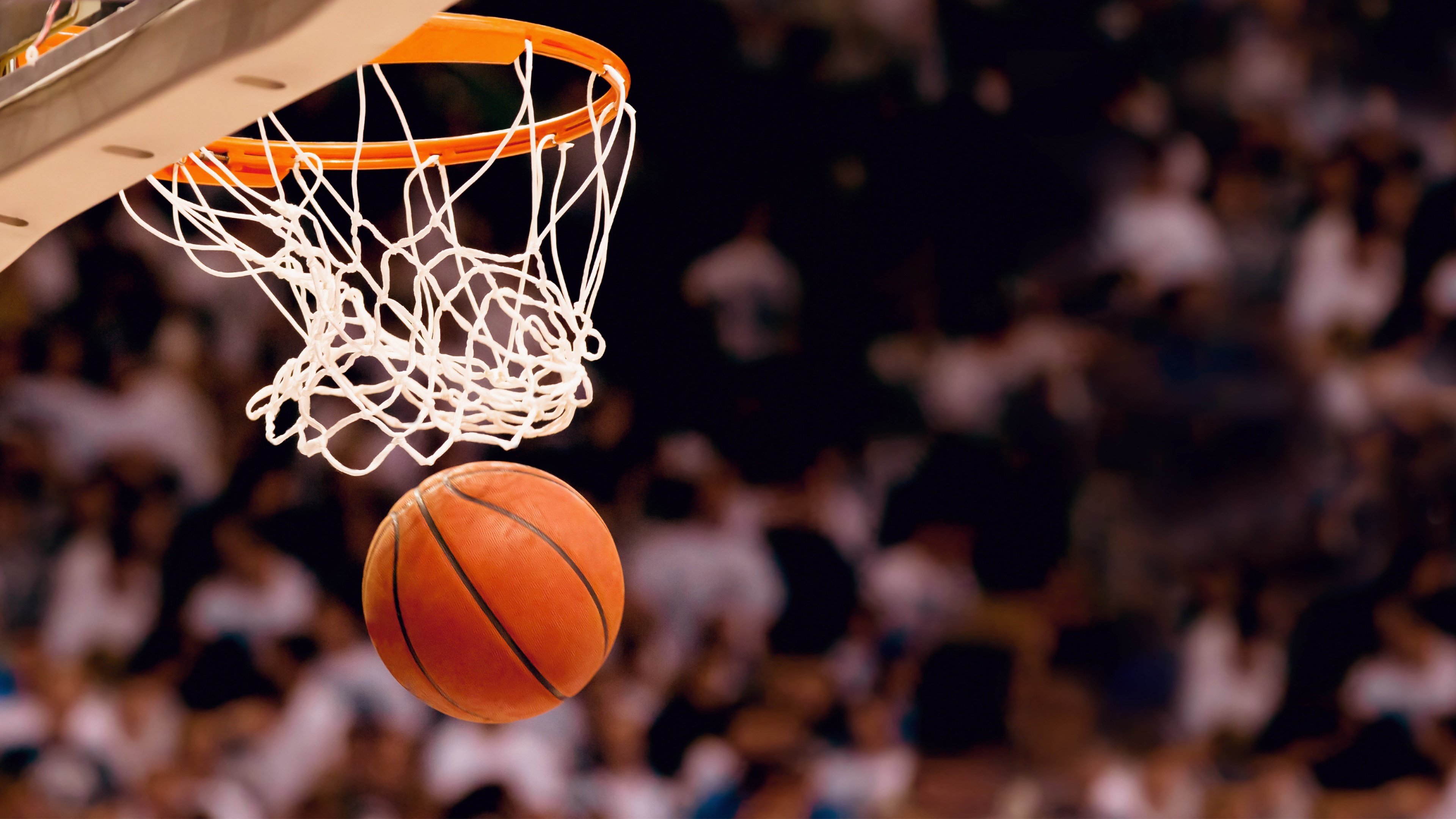 NBA首席裁判官推出新培训系统，使用VR模拟实战判罚，nba裁判员名单及编号