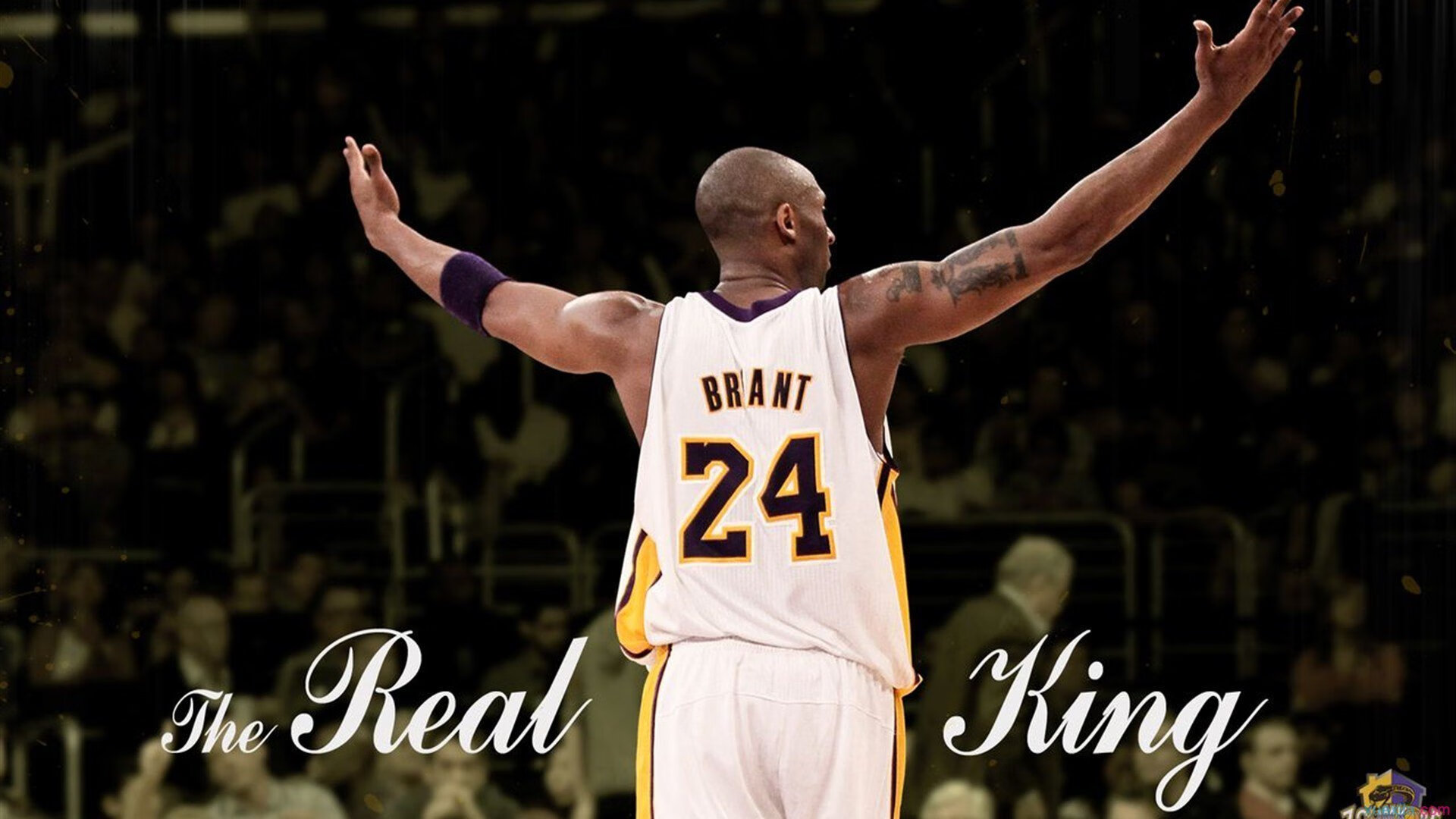 《电竞职业路径多元化：从选手到教练、解说、管理》，电竞职业选手出路